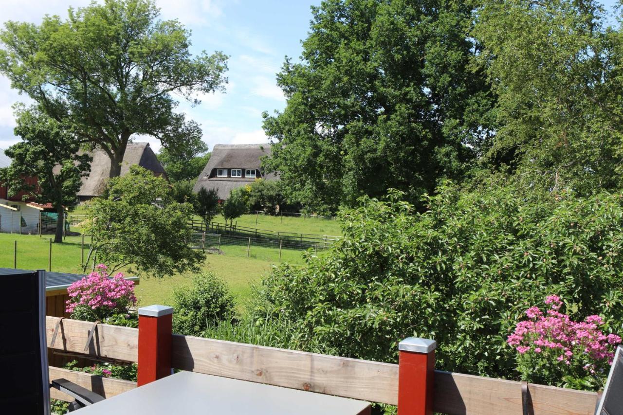 Apartament Holthus Kollmar Zewnętrze zdjęcie